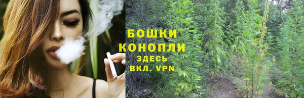трава Алексин