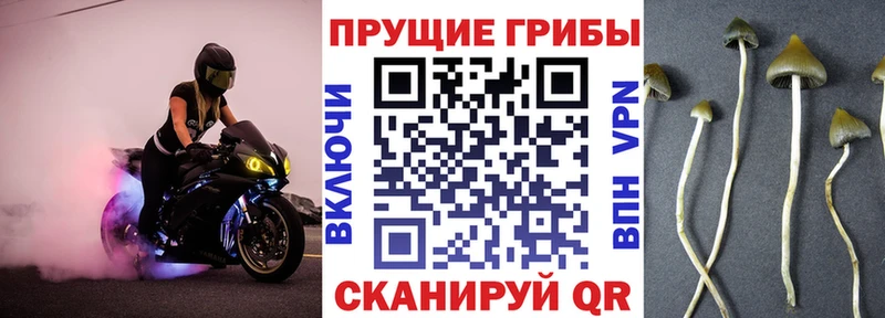 как найти наркотики  Калтан  ссылка на мегу вход  Псилоцибиновые грибы ЛСД 